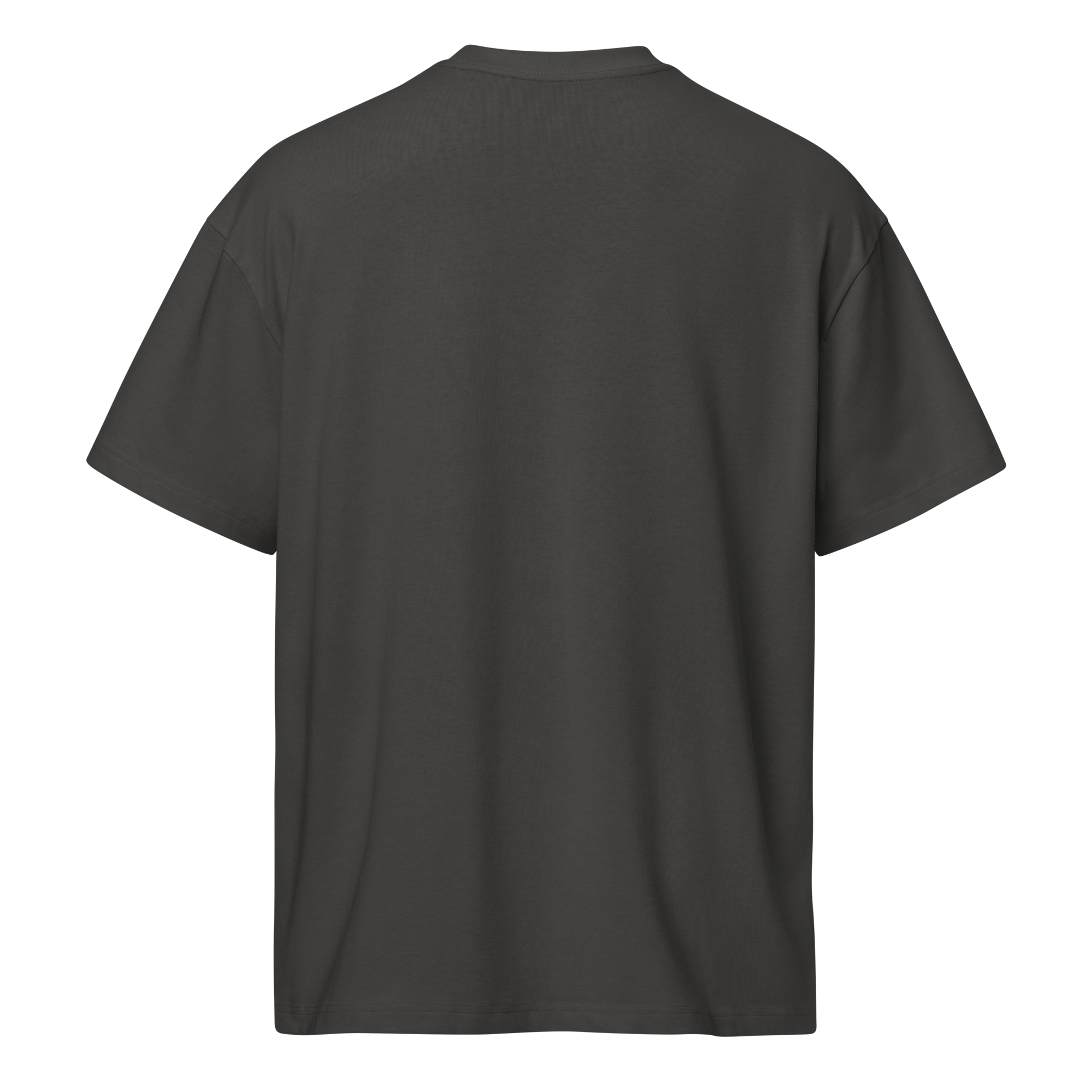 JIU-JITSU Heritage Tee – Vintage Black