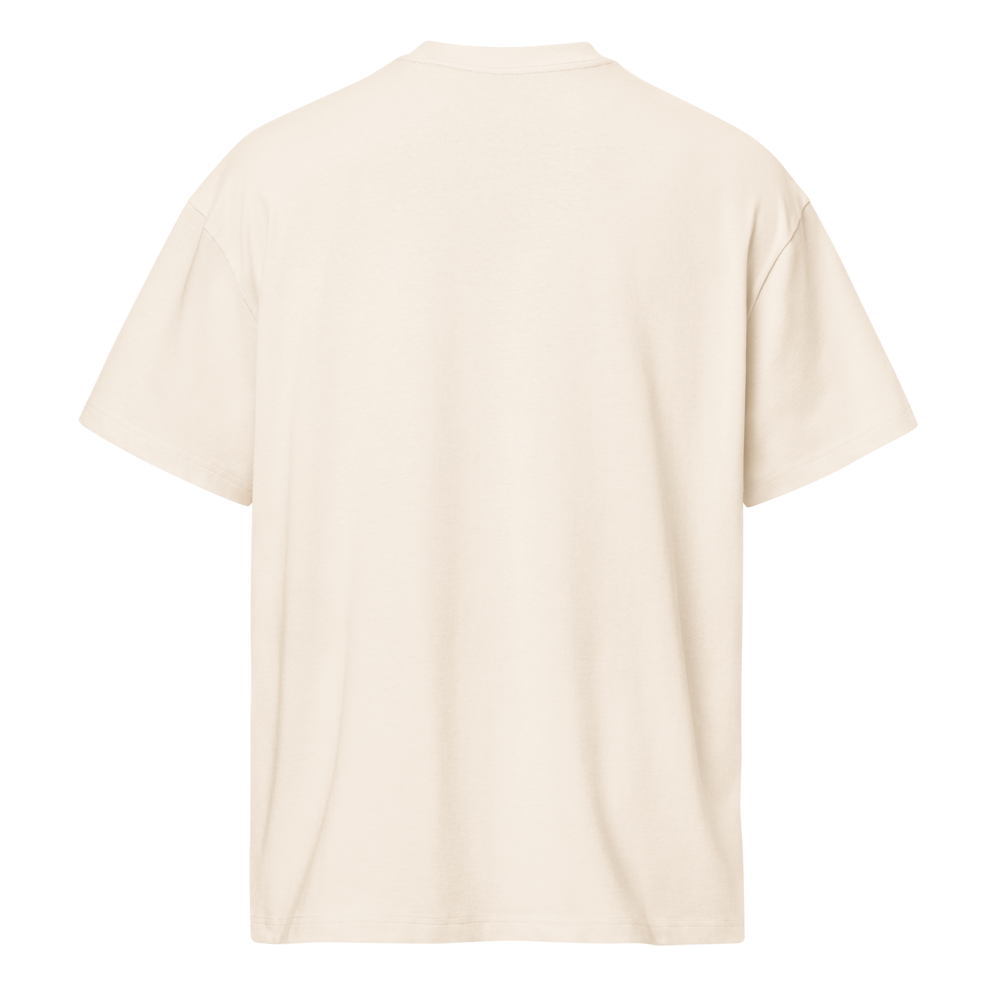 JIU-JITSU Heritage Tee – Vintage White